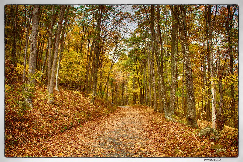 _5SB6581_rose river path.jpg